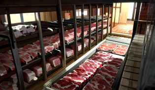 Cellar for storing meat, with ham and steak, several dead pigs and cows on the ground, anime style