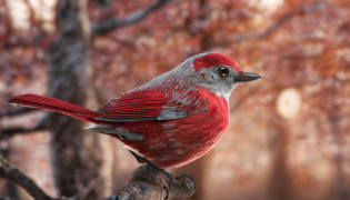 a diamond bird from Forbes that is in a tree is the main protagonist Natural realistic rendering, fotorrealista altamente detallado, render fotorrealista, Arte conceptual fotorrealista, Render hiper real, Renderizado 3D realista rojo, Aves f CGsociety, Imagen fotorrealista, fotorrealista altamente detallado, Renderizado detallado hiperrealista, Imagen detallada fotorrealista, Red bird, super detailed render, Renderizado de alta calidad
