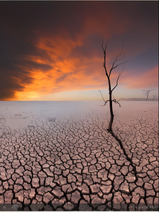 A lone tree in the dry, The background is a cracked field of sunset, drought, Barren dryland, Cracked earth, scorched earth, In the desert of burning soil, dry landscape, Desolate land, lpoty, The dry lake bed ruptures, barren landscape, Dry desert, Dying Earth, arid ecosystem, Desolate wasteland, drying