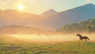 Horses walk through the dust of the mountains on a sunny day?See the Horse Valley?by Basuki Abdullah?National Geographic, Indonesia?Cavalry charge?Morning atmosphere?sunraise?Early morning light?In the early morning?morningglow?Darek Zabroki?in the early morning?in the early morning?Eric Pevernagi?National Geographic Photos