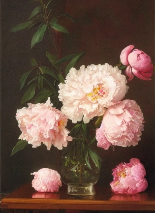 gently pink peonies in a vase, still life, by Albert Williams