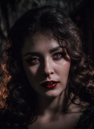 stunning creepy portrait photography of sexy vampire lady <lora:anvertinskaya:0.7>, (looking in the camera:1.3), blood on the lips, sexy Victorian dress, (creepy sinister look:1.2), fangs, in the dracula mansion, creepy, detailed face, sharp focus, (epic lighting:1.2), subsurface scattering, f2, 35mm,  <lora:LowRA:0.5>