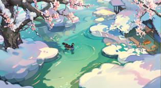 wild duck
