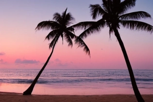 pale pink, pale orange, pale blue sunrise at the beach, aquamarine ocean, clear sand, silhouette of palm trees, 85mm, photorealistic, ultra-detailed